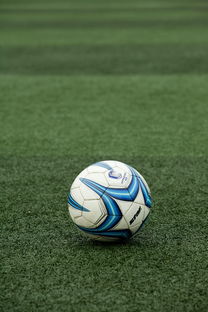 开云娱乐-高校体育赛事应急管理体系构建，体育赛事应急预案细则